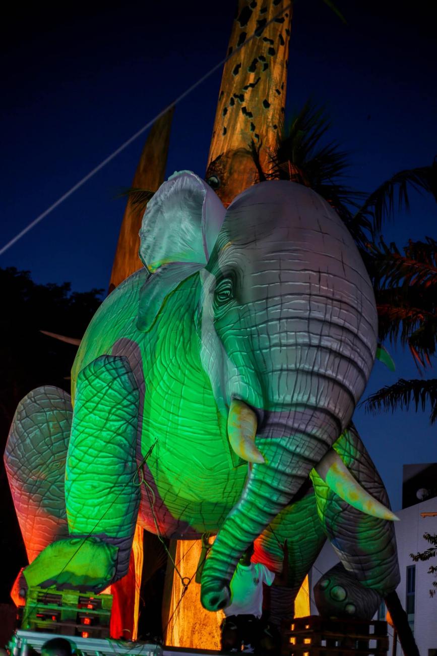 13ème édition du MASA