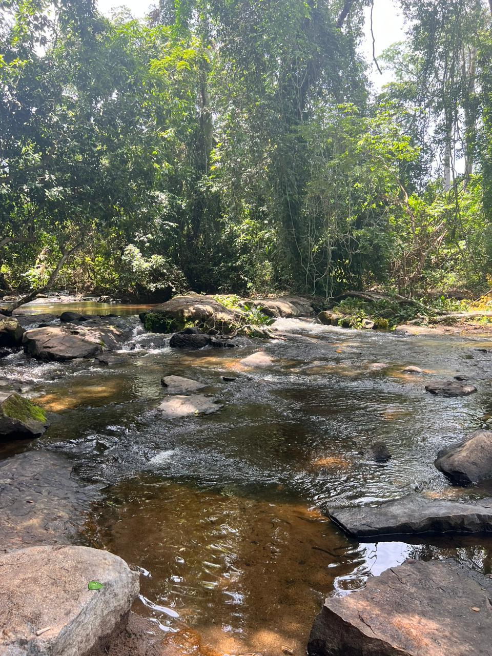 GO CASCADES DE ISSONNEU