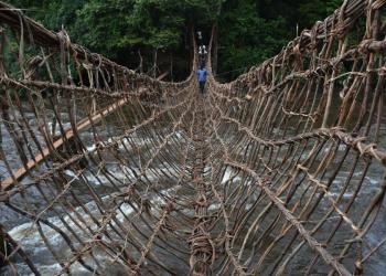 Organisation mondiale du Tourisme: la Côte d'Ivoire élue au poste de Vice-président du comité relatif aux questions des membres affiliés